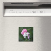 Magnet für gebrochene Herzen (In Situ (Geschirrspüler))
