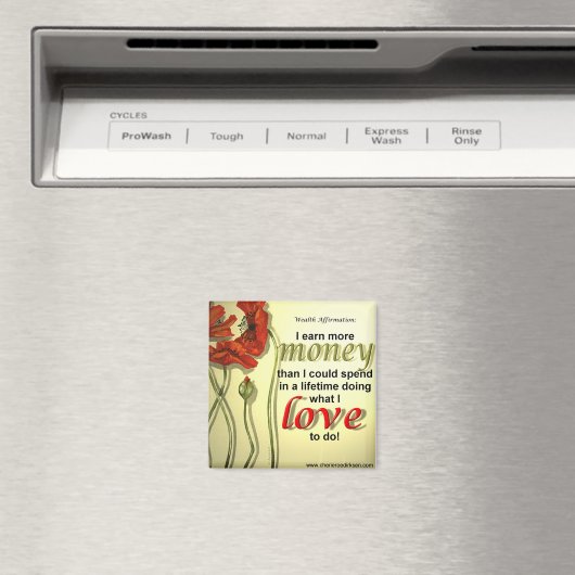 Magnet für Geldnachweis (In Situ (Geschirrspüler))