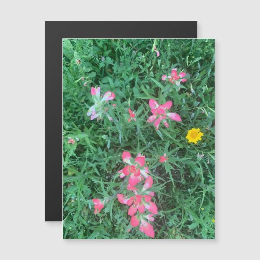 Magnet für gemischte Blume (Vorne/Hinten)