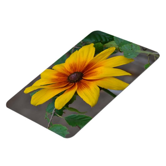 Magnet für große Blume (Linke Seite)