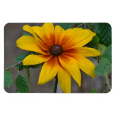 Magnet für große Blume (Horizontal)