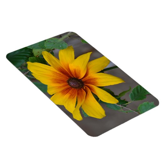 Magnet für große Blume (Rechte Seite)