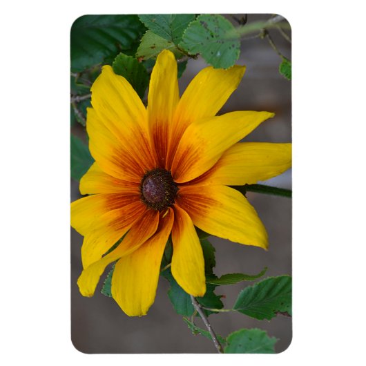 Magnet für große Blume (Vertikal)