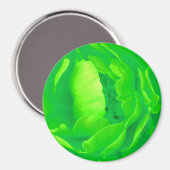 Magnet für grüne Rose - Anpassbar (Vorderseite/Rückseite)