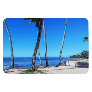 Magnet für hawaiianisches Foto