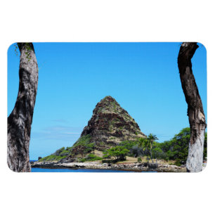 Magnet für hawaiianisches Foto