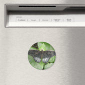 Magnet für hübsche Tropenschmetterlinge und Blume (In Situ (Geschirrspüler))