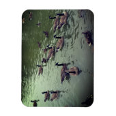 Magnet für kanadische Gänse und Mallard-Enten (Vertikal)