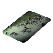 Magnet für kanadische Gänse und Mallard-Enten (Linke Seite)