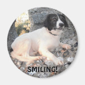 Magnet für Kletterhexen: (Vorne)