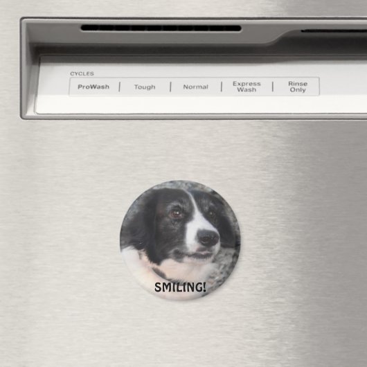 Magnet für Kletterhexen: (In Situ (Geschirrspüler))