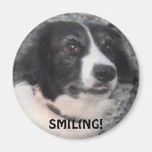 Magnet für Kletterhexen: (Vorne)