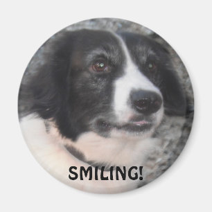 Magnet für Kletterhexen: