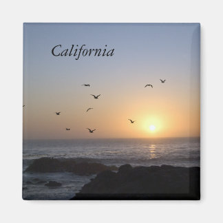 Magnet für KüstenSunset