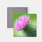 Magnet für lila Blume (Vorderseite/Rückseite)