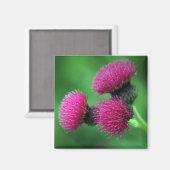 Magnet für lila Blume (Vorderseite/Rückseite)