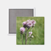 Magnet für lila Blume Foto (Vorderseite/Rückseite)