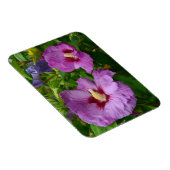 Magnet für lila Hibisken-Blume (Rechte Seite)