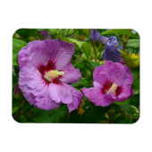Magnet für lila Hibisken-Blume (Horizontal)