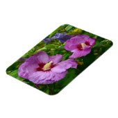 Magnet für lila Hibisken-Blume (Linke Seite)