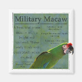 Magnet für Militärpolizei (Vorne)