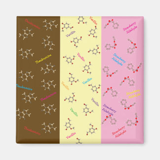 Magnet für neapolitanische Eiscreme