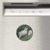 Magnet für niedliche Schaf-EAting-Blätter (In Situ (Geschirrspüler))