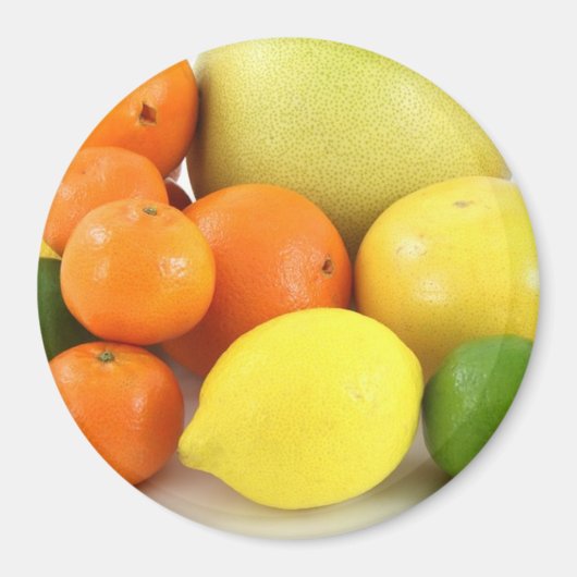 Magnet für Obst, Orange, Zitronen und Melonen Kühl (Vorne)