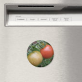 Magnet für Orangen und Rote Tomaten (In Situ (Geschirrspüler))
