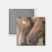 Magnet für Pferde (Vorderseite/Rückseite)