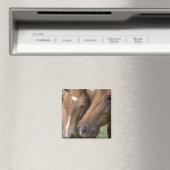 Magnet für Pferde (In Situ (Geschirrspüler))