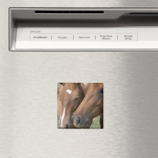 Magnet für Pferde (In Situ (Geschirrspüler))