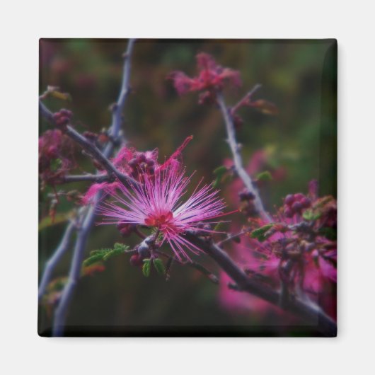 Magnet für rosa Märchen (Vorne)