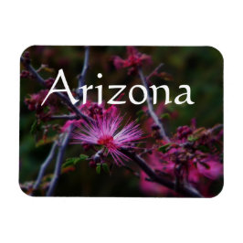 Magnet für rosa Märchenduster, Arizona Magnet