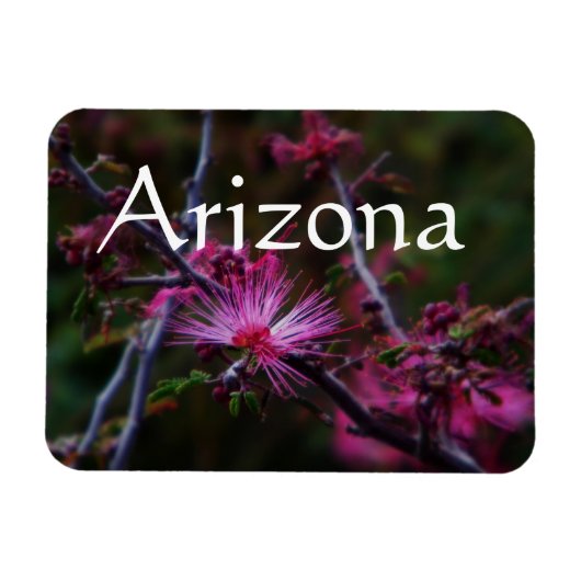 Magnet für rosa Märchenduster, Arizona Magnet (Horizontal)