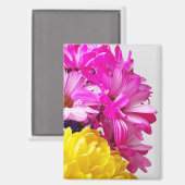 Magnet für Rosa und Gelbe Blumen - Die Abs von Mar (Vorderseite/Rückseite)