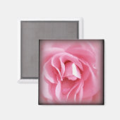 Magnet für Rose mit Netzanschluss (Vorderseite/Rückseite)
