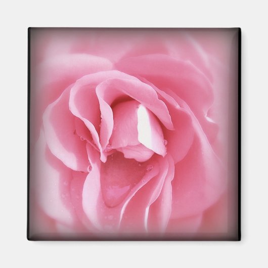 Magnet für Rose mit Netzanschluss (Vorne)