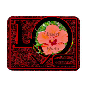 Magnet für rote Rosen der LIEBE des Fotos