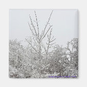 Magnet für Schnee und eisbedeckte Bäume #1 (Vorne)