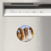 Magnet für Seen, Bäche, Straßen und Flüsse (In Situ (Geschirrspüler))