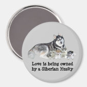 Magnet für sibirische Husky und Welpen (Vorderseite/Rückseite)