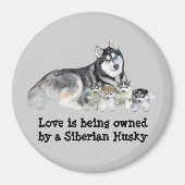 Magnet für sibirische Husky und Welpen (Vorne)