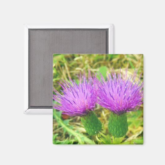 Magnet für Spalten- oder Felddicken (Vorderseite/Rückseite)