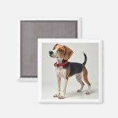 Magnet für verschiedene Zwecke (Vorderseite/Rückseite)