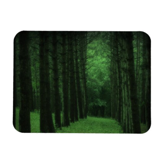 Magnet für verzauberte Wälder (Horizontal)