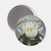 Magnet für Wasserblütenfotografie (Vorderseite/Rückseite)