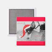Magnet für Weihnachten, Rat Terrior (Vorderseite/Rückseite)