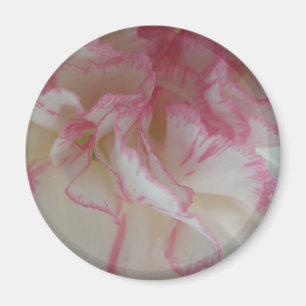Magnet für weiße und rosa Narben