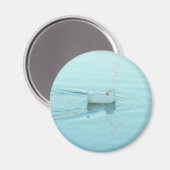 Magnet für Weißente (Vorderseite/Rückseite)